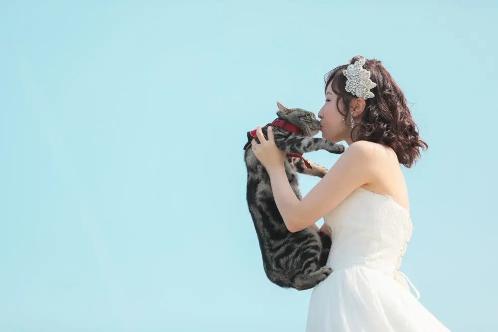 ペットと一緒に撮影のイメージ